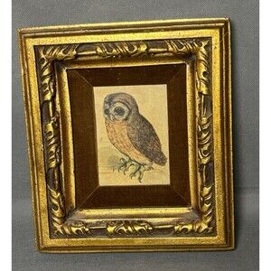 Vntg Syroco Art The Little Owl B Albrecht Durer Aviary Framed felt Matte Print